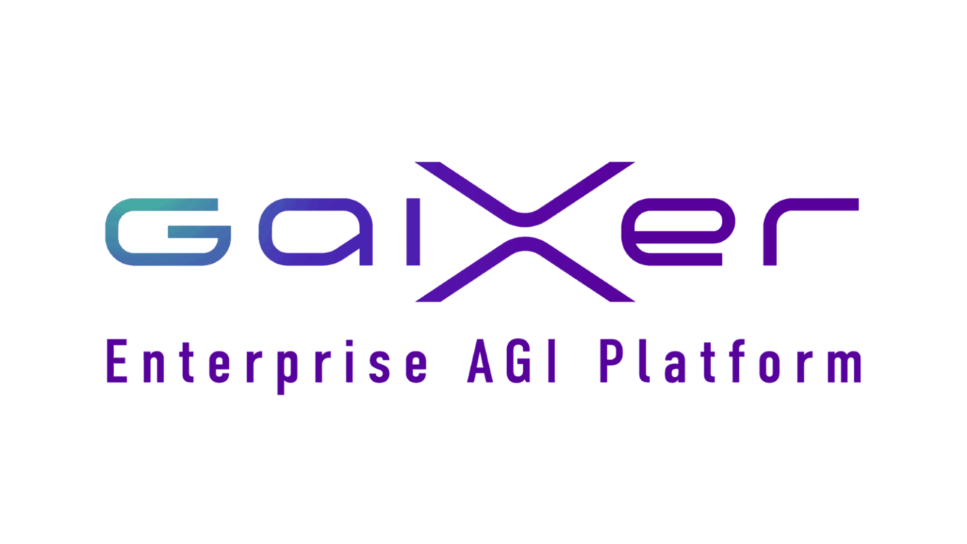 2024_1105_001_gaixer_was_selected_by_the_ministry_of_internal_affairs_and_communications_for_the_project_001.png